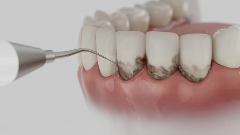 Reliable Dental contractor in Rollingwood, TX by Dentist Open Now